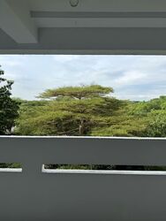 Blk 6 Marine Terrace Walk (Marine Parade), HDB 3 Rooms #553874661